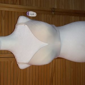 NWT Secret Treasures Bra size 38DD ivory in color